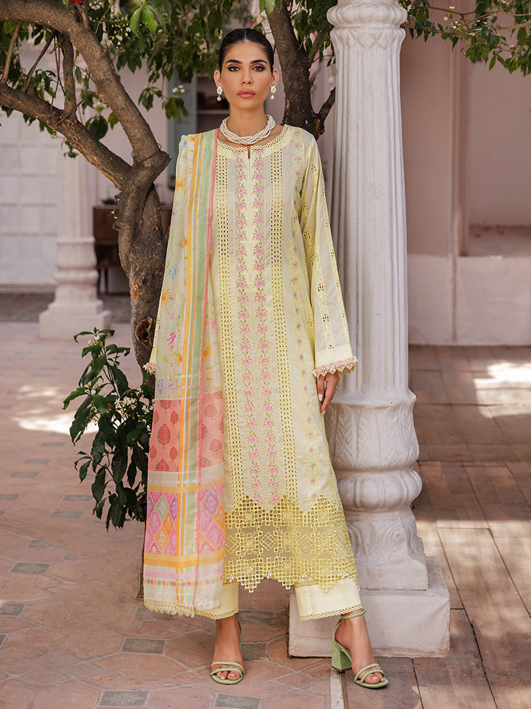Rajbari | Nissa Chikankari Edition 25 | D# - 09 - Official Rajbari stockist in UK - Sakeena London