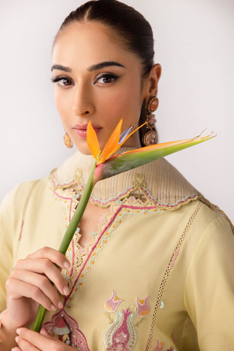 Qalamkar | Basic Pret 25 | KT-08 Afra - Official Qalamkar stockist in UK - Sakeena London