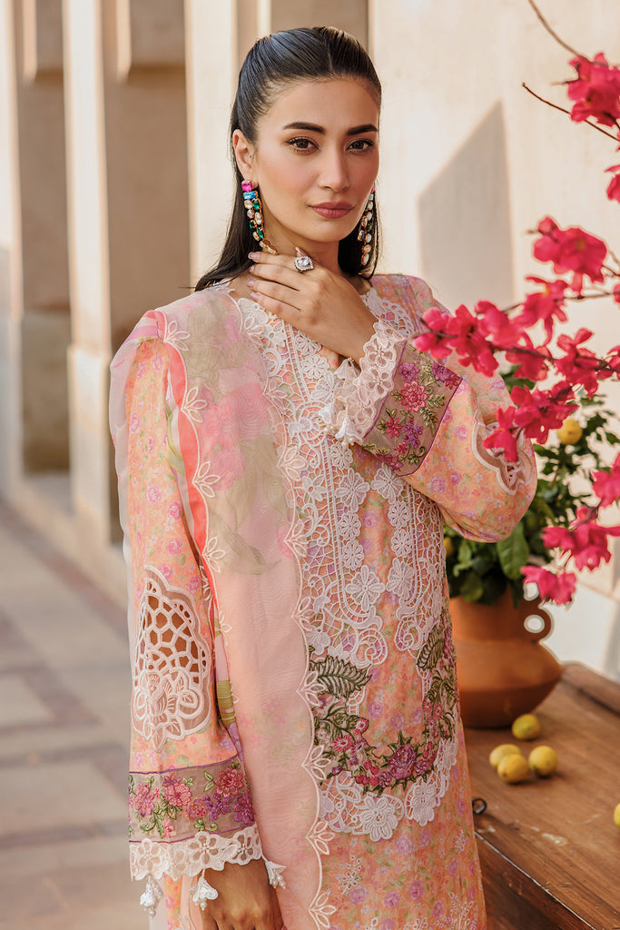 Rajbari | Amali Festive Lawn | 5-B - Official Rajbari stockist in UK - Sakeena London