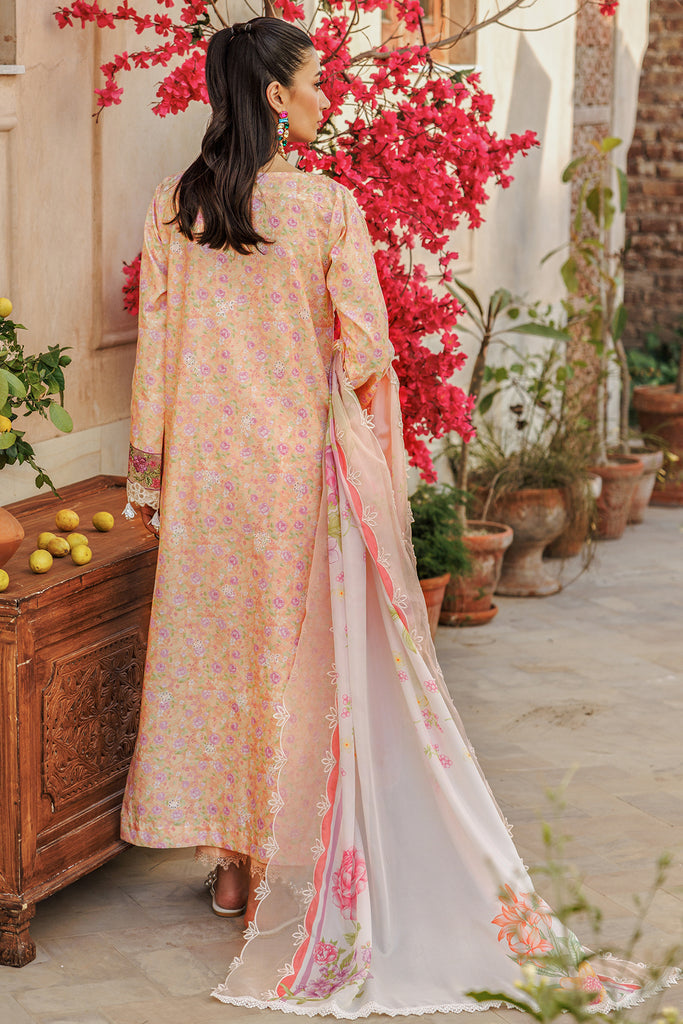 Rajbari | Amali Festive Lawn | 5-B - Official Rajbari stockist in UK - Sakeena London