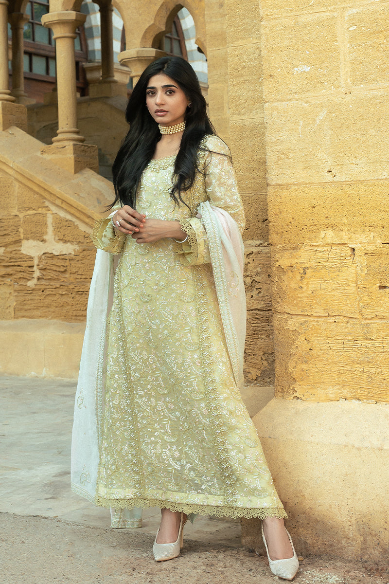 Mushq | Saugaat City of Lights | Faryal - Official Mushq stockist in UK - Sakeena London