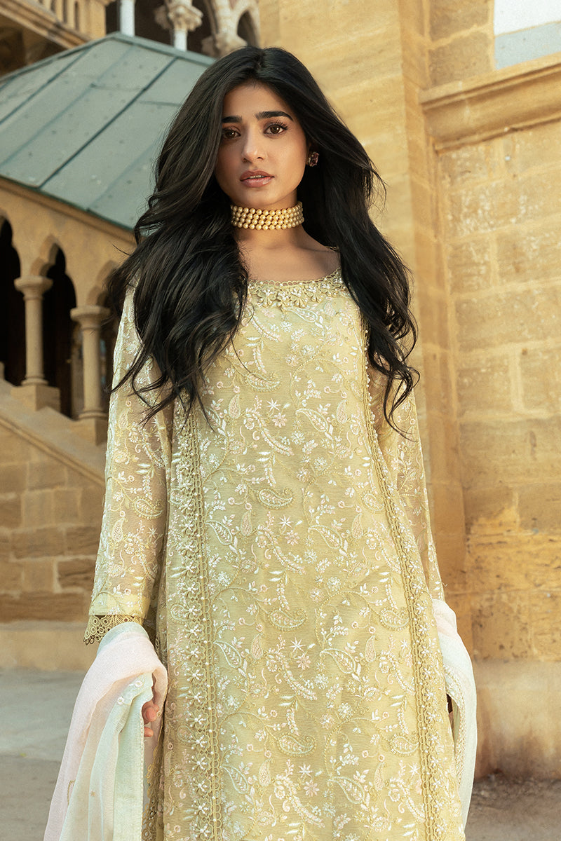 Mushq | Saugaat City of Lights | Faryal - Official Mushq stockist in UK - Sakeena London