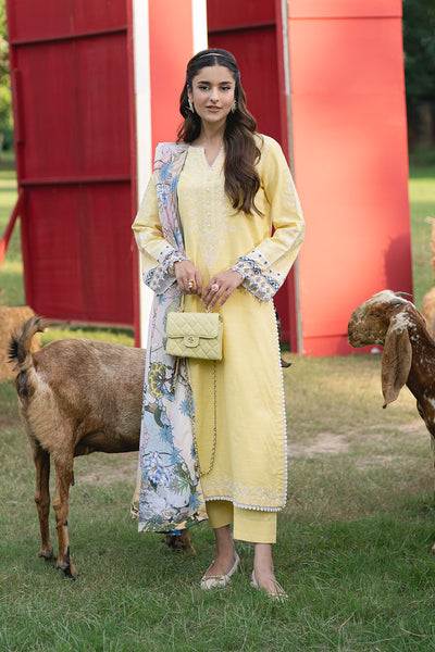 Maryum N Maria | Cosy Crew Winter Pret 25 | GULALI - MSS5768 - Official Maryum N Maria stockist in UK - Sakeena London