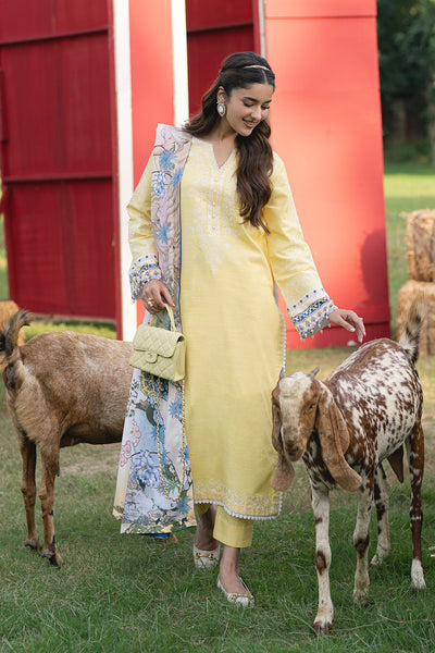 Maryum N Maria | Cosy Crew Winter Pret 25 | GULALI - MSS5768 - Official Maryum N Maria stockist in UK - Sakeena London
