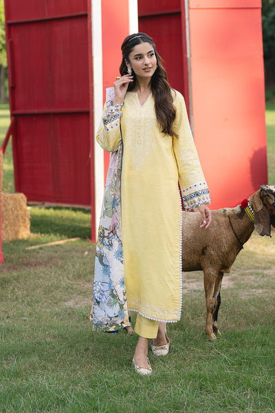 Maryum N Maria | Cosy Crew Winter Pret 25 | GULALI - MSS5768 - Official Maryum N Maria stockist in UK - Sakeena London