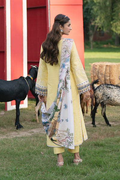 Maryum N Maria | Cosy Crew Winter Pret 25 | GULALI - MSS5768 - Official Maryum N Maria stockist in UK - Sakeena London