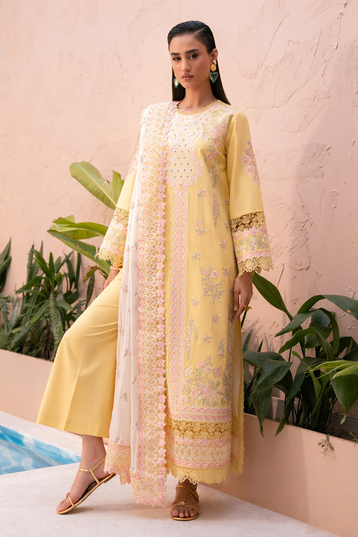 Marjjan | Orya Collection | MWK-74 A