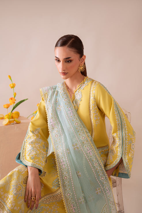 Aabyaan | Miraal Signature Embroidered Viscose 25 | MEHRA (AV-02) - Official Aabyaan stockist in UK - Sakeena London
