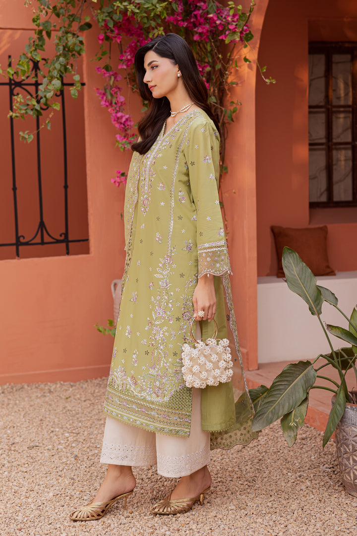 Batik | Winter 25 | Mor Bagh