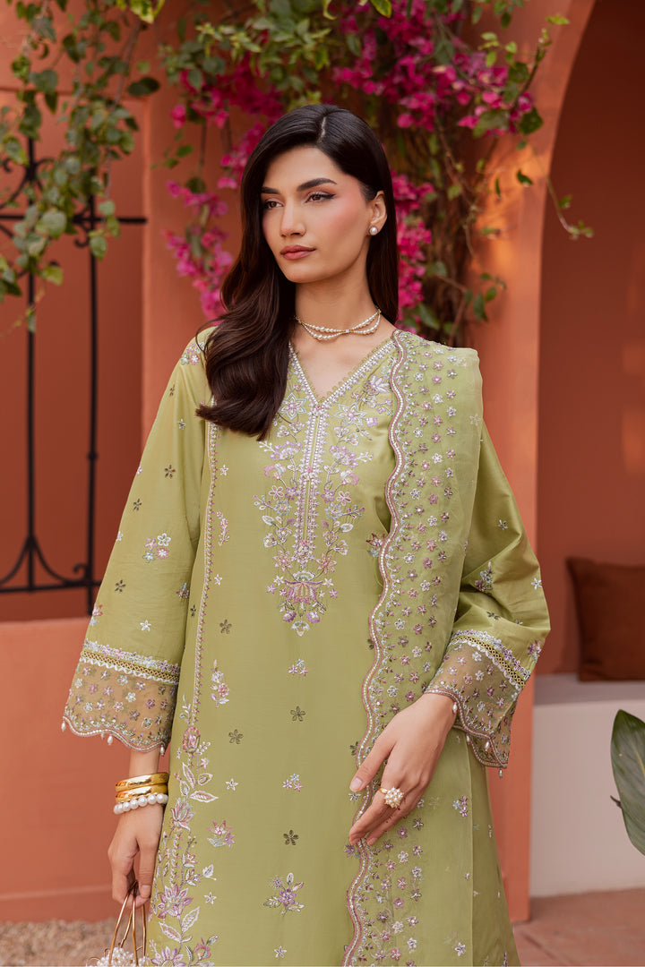 Batik | Winter 25 | Mor Bagh