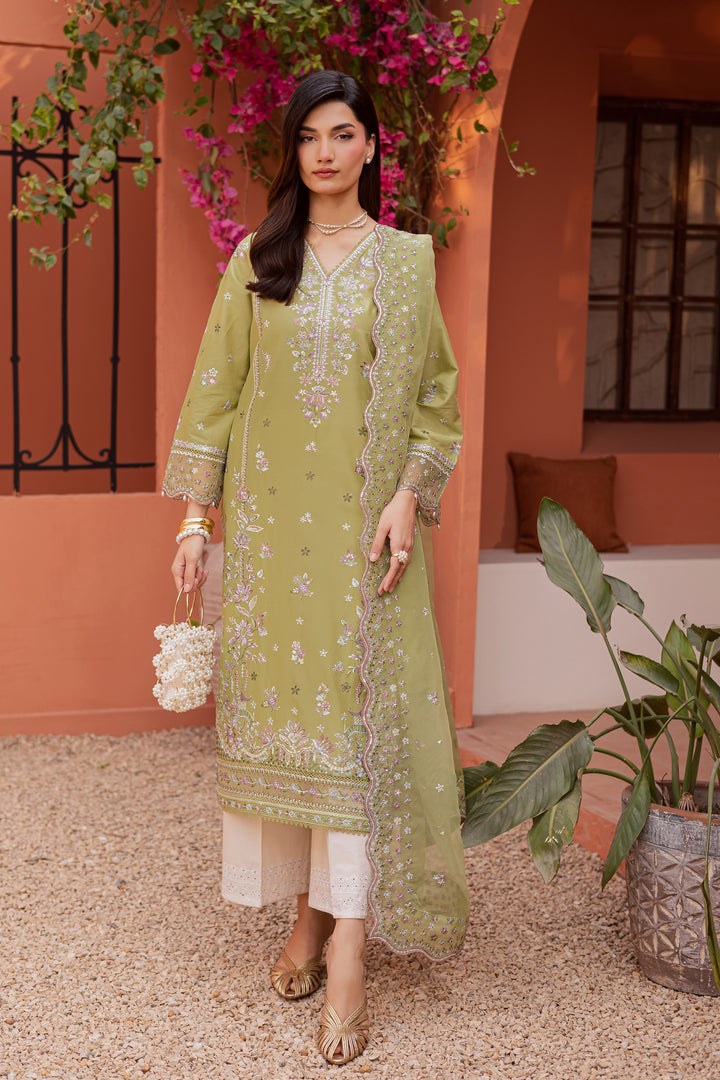 Batik | Winter 25 | Mor Bagh