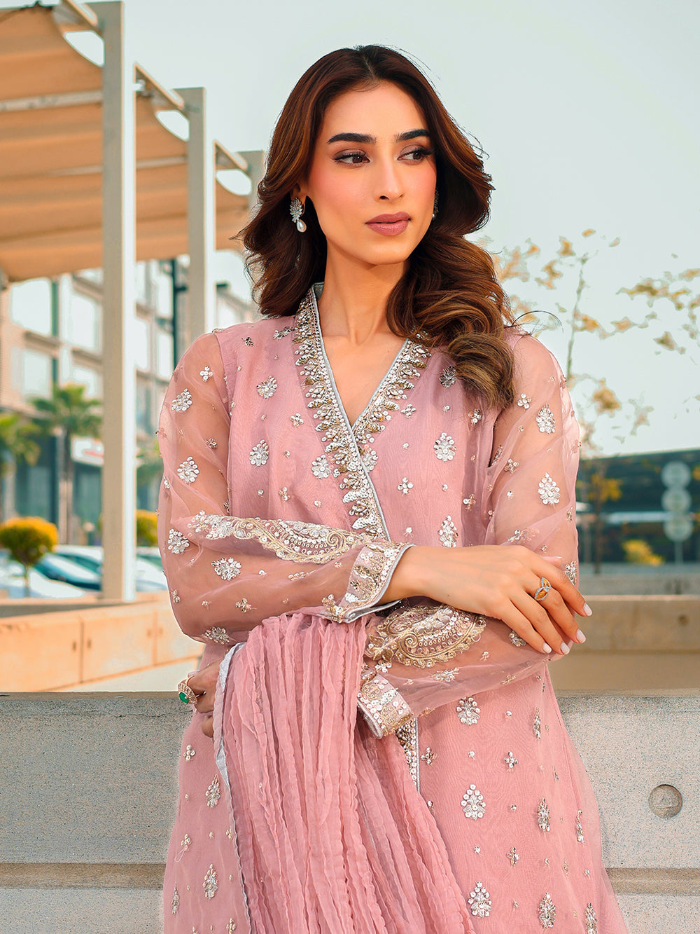 Ain | Raya Luxury Formals | AN-175 OPAL