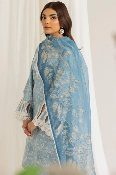 Mohagni | Tulips 24 | PLS-105 - Official Mohagni stockist in UK - Sakeena London