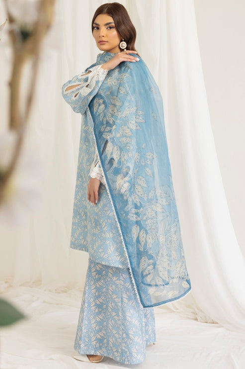 Mohagni | Tulips 24 | PLS-105 - Official Mohagni stockist in UK - Sakeena London