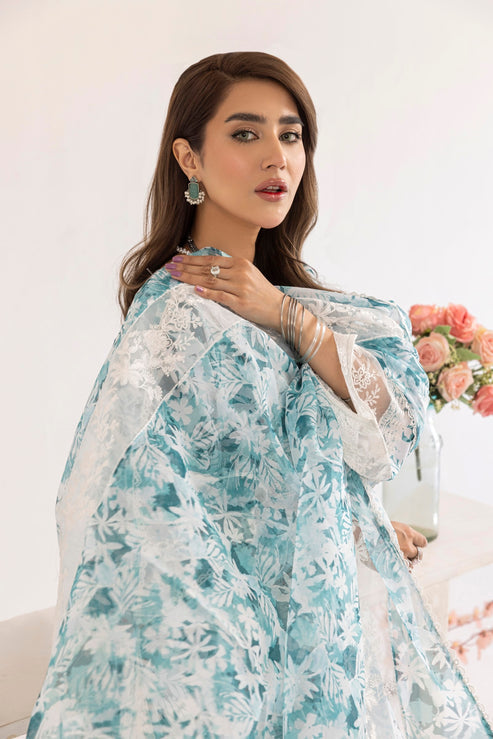 Mohagni | Tulips 24 | PLS-124 - Official Mohagni stockist in UK - Sakeena London