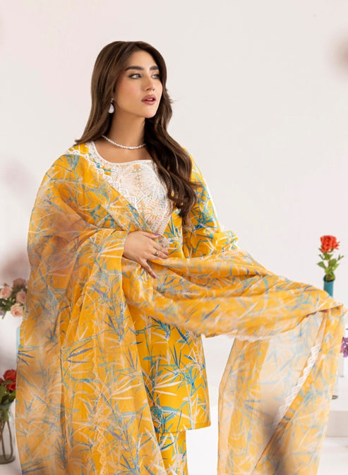 Mohagni | Tulips 24 | PLS-127 - Official Mohagni stockist in UK - Sakeena London