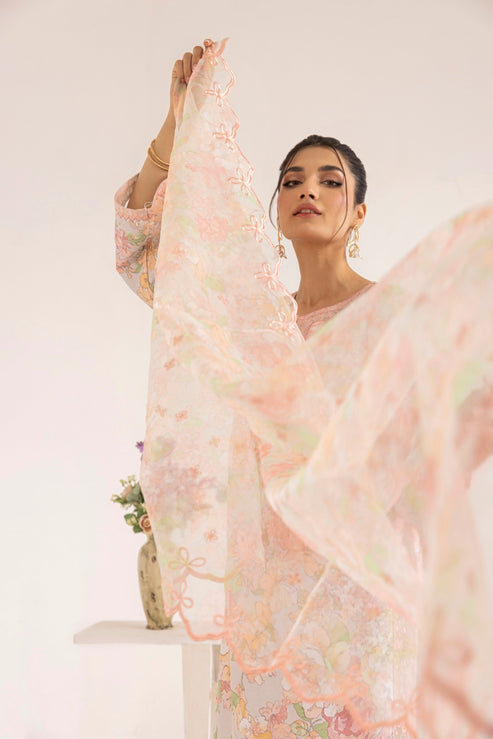 Mohagni | Tulips 24 | PLS-129 - Official Mohagni stockist in UK - Sakeena London