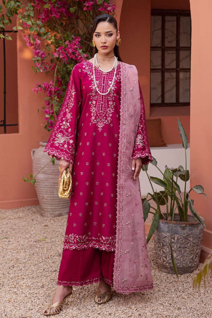 Batik | Winter 25 | Pink Aleyla