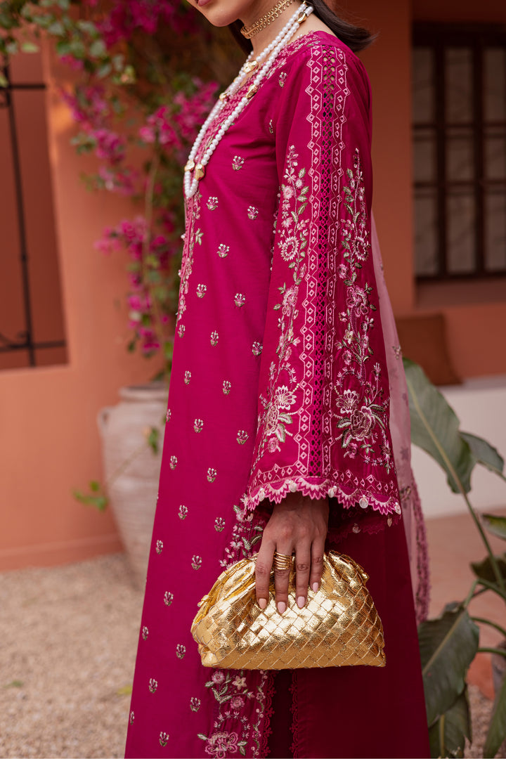 Batik | Winter 25 | Pink Aleyla