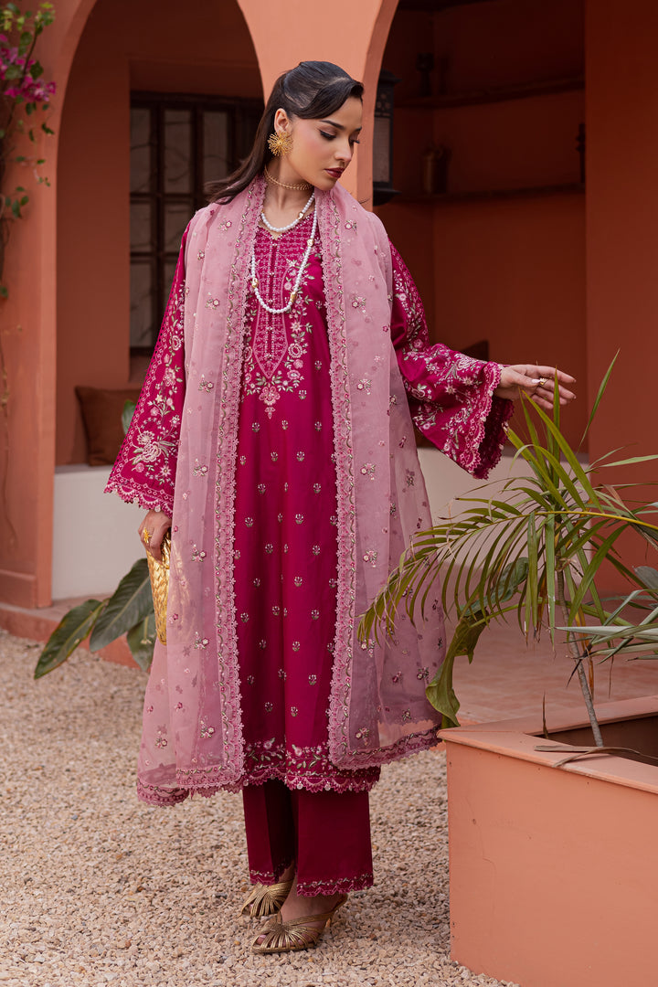 Batik | Winter 25 | Pink Aleyla