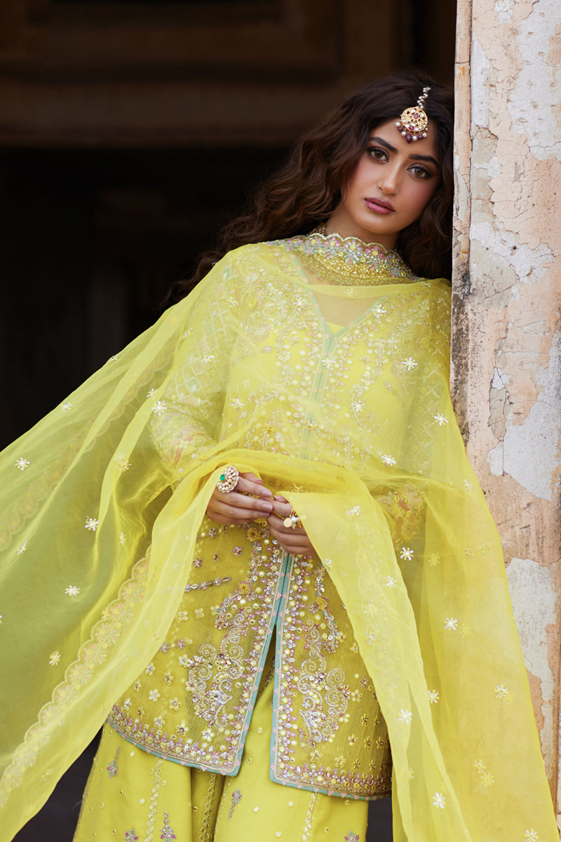 Qalamkar | Shadmani Luxury Formals | Dania SH-05 - Official Qalamkar stockist in UK - Sakeena London