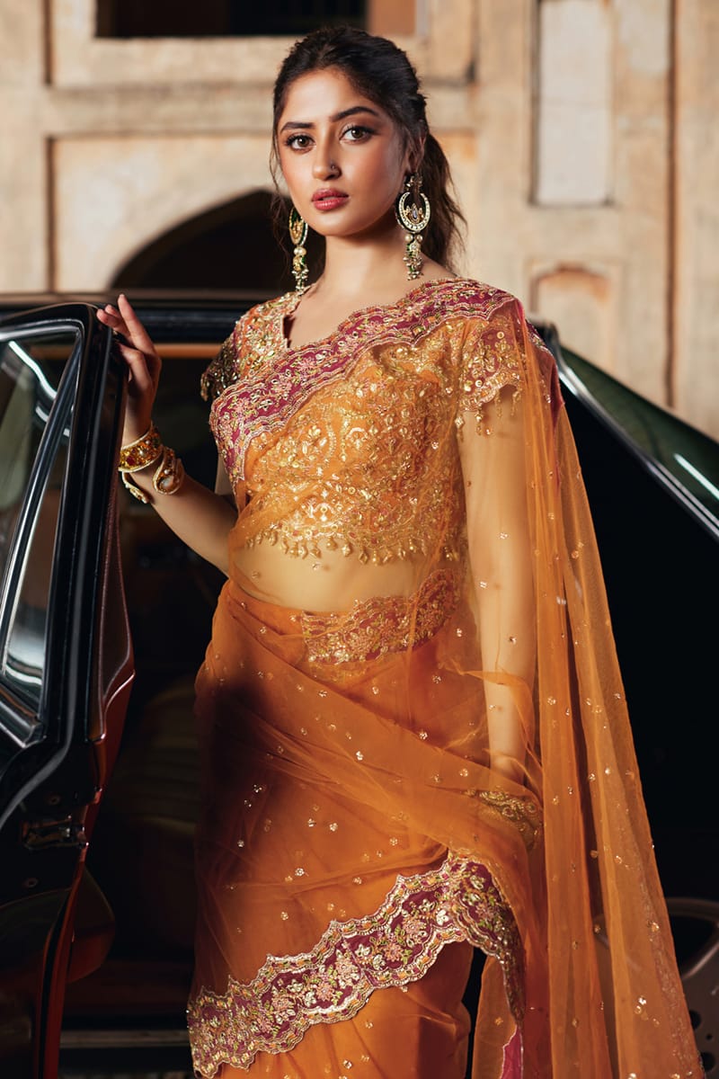 Qalamkar | Shadmani Luxury Formals | Raniya SH-02 - Official Qalamkar stockist in UK - Sakeena London