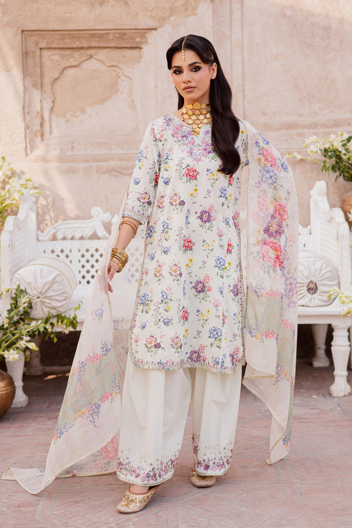 Batik | Winter 25 | Qissa