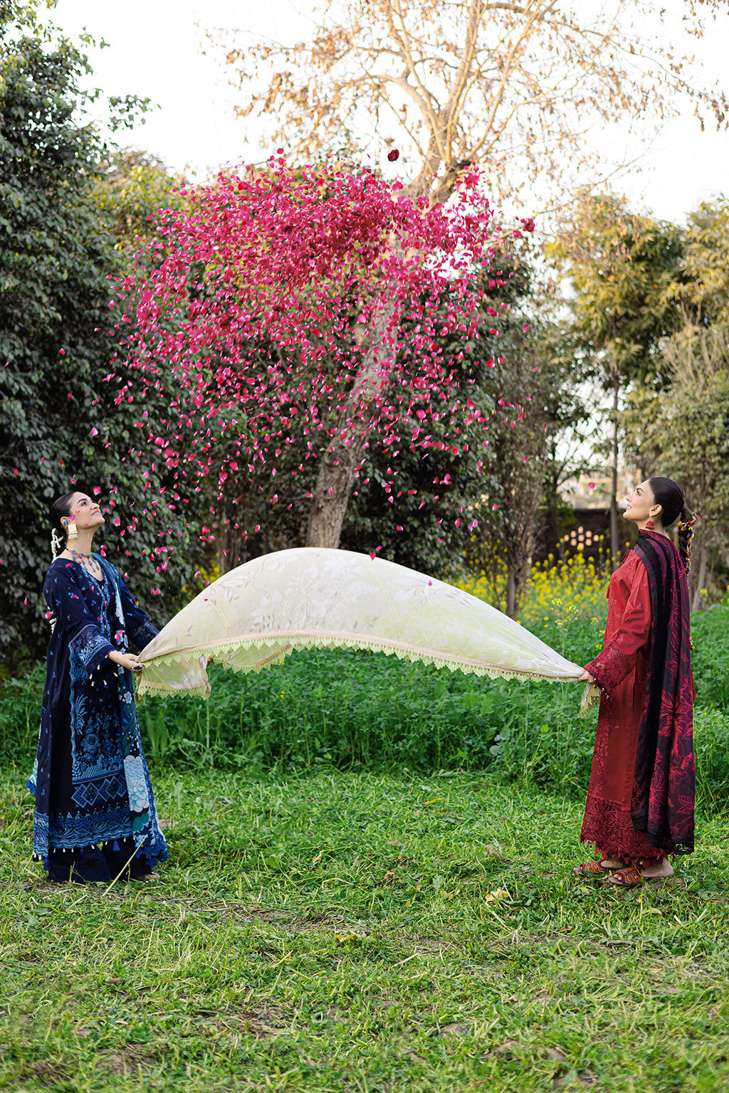 Ramsha | Riwayat Lawn Collection | Y-1204 - Official Ramsha stockist in UK - Sakeena London