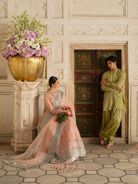 Parishay | Ranibagh Luxury Formals | ROSHANARA - Official Parishay stockist in UK - Sakeena London