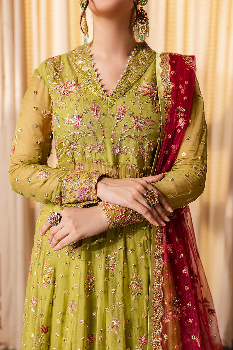 Roheenaz | Naira Chiffon 24 | Inaya - Official Roheenaz stockist in UK - Sakeena London