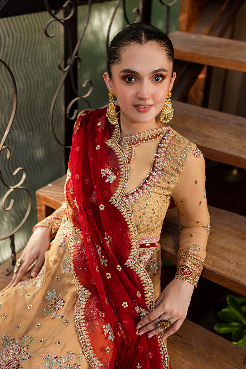 Roheenaz | Naira Chiffon 24 | Aylin - Official Roheenaz stockist in UK - Sakeena London