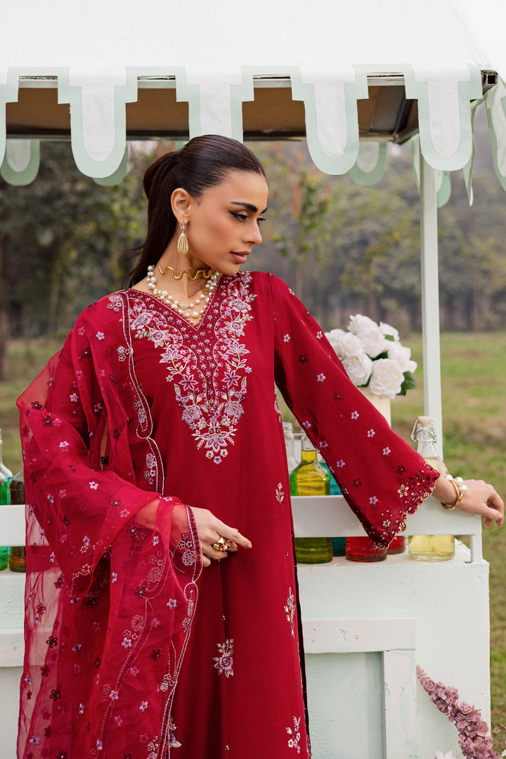 Batik | Winter 25 | Ruby Ghazal