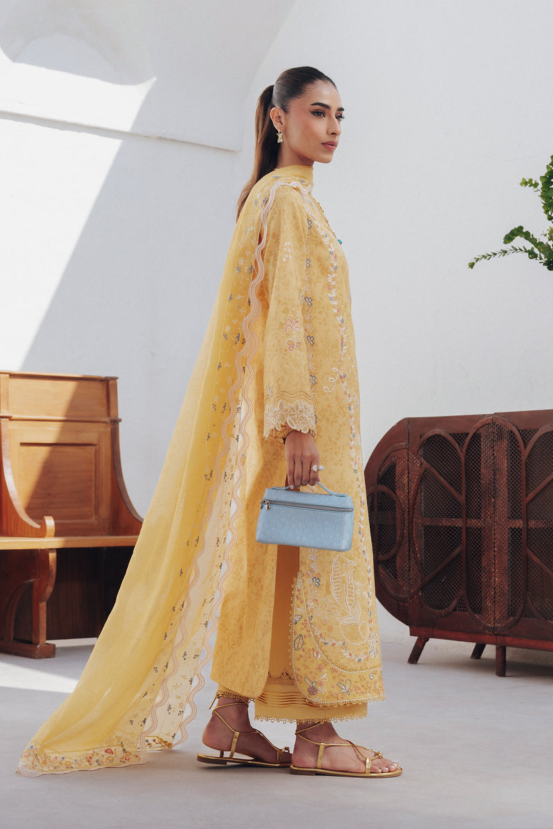 Qalamkar | Basic Pret 26 | QBP-06 CLARA