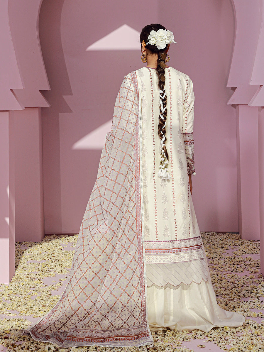 Salitex | Eid Edition | D27 - Official Salitex stockist in UK - Sakeena London