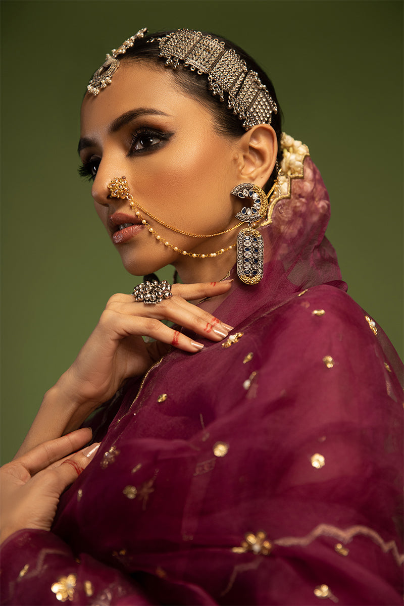 Wardha Saleem | Luxury Pret Traditional Wear | SARAAB - PLUM HEAVY (2 PC) - Official Wardha Saleem stockist in UK - Sakeena London