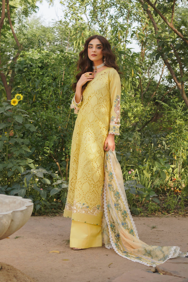Manara | Luxury Lawn 24 | NEHAL - Official Manara stockist in UK - Sakeena London