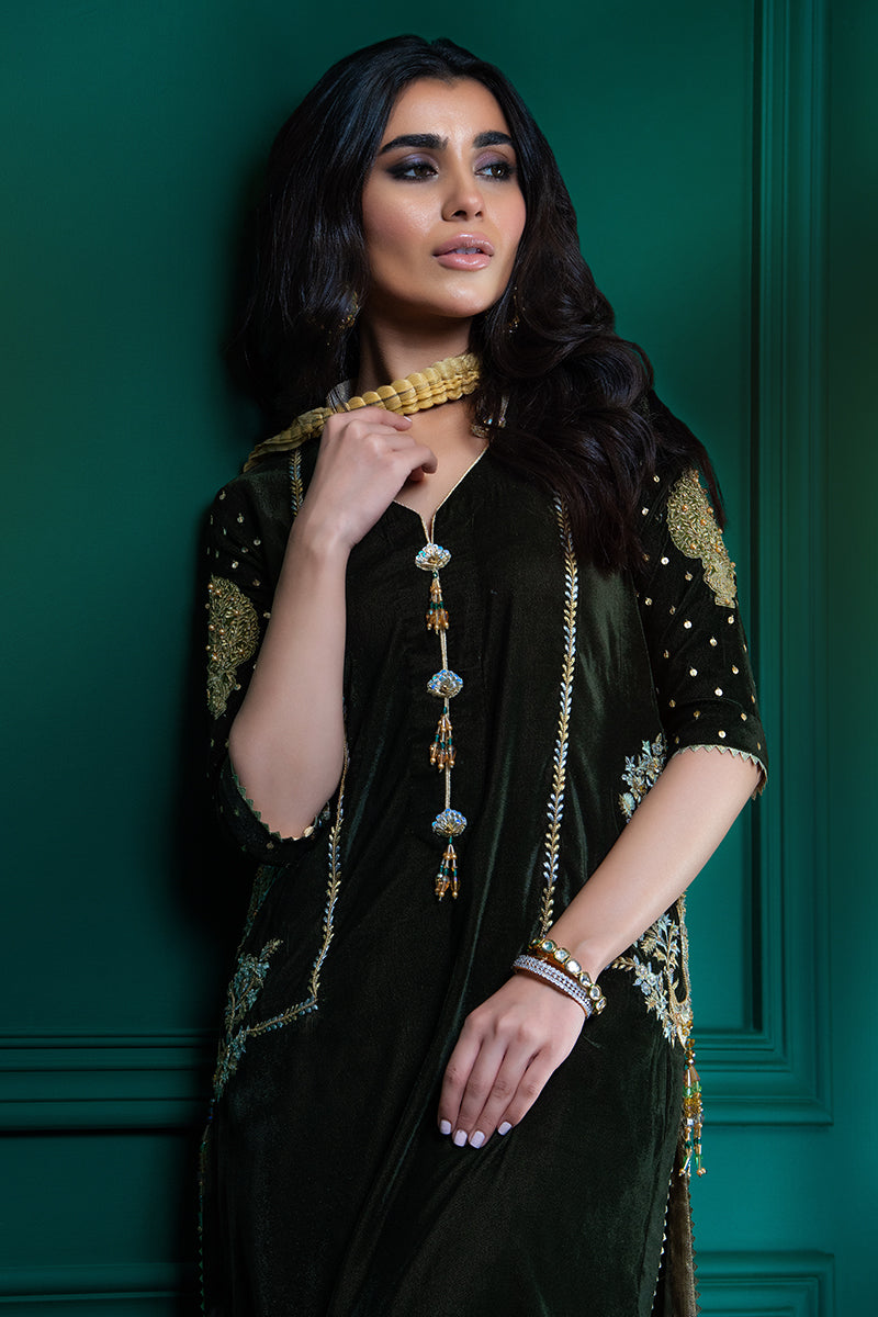 Wardha Saleem | Velvets Winter Fall 24 | Guldaan - Official Wardha Saleem stockist in UK - Sakeena London