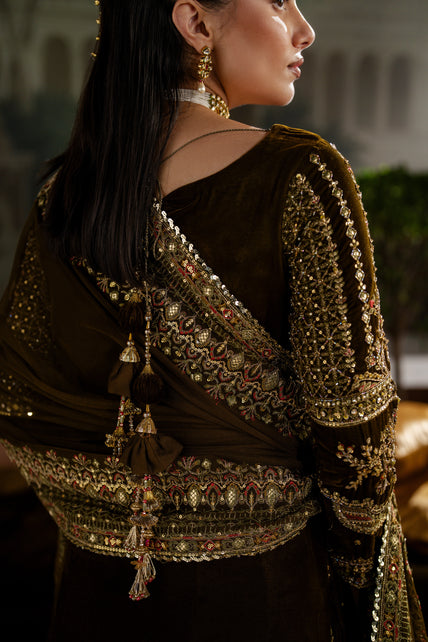 Naqshi | Nazleen Velvet | Danara - Official Naqshi stockist in UK - Sakeena London