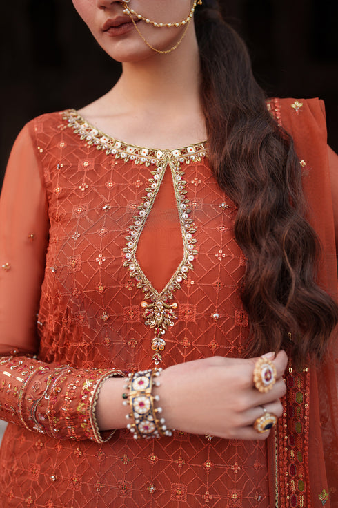 Naqshi | Kiraz Chiffon Collection | Tehzeen - Official Naqshi stockist in UK - Sakeena London