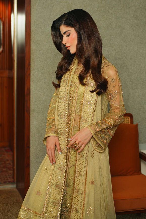 Naqshi | Celastra Formals | Nabah - Official Naqshi stockist in UK - Sakeena London
