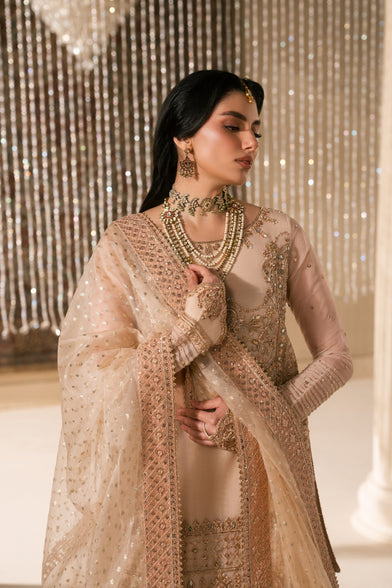 Naqshi | Ashiyana Wedding Formals | Tizmat