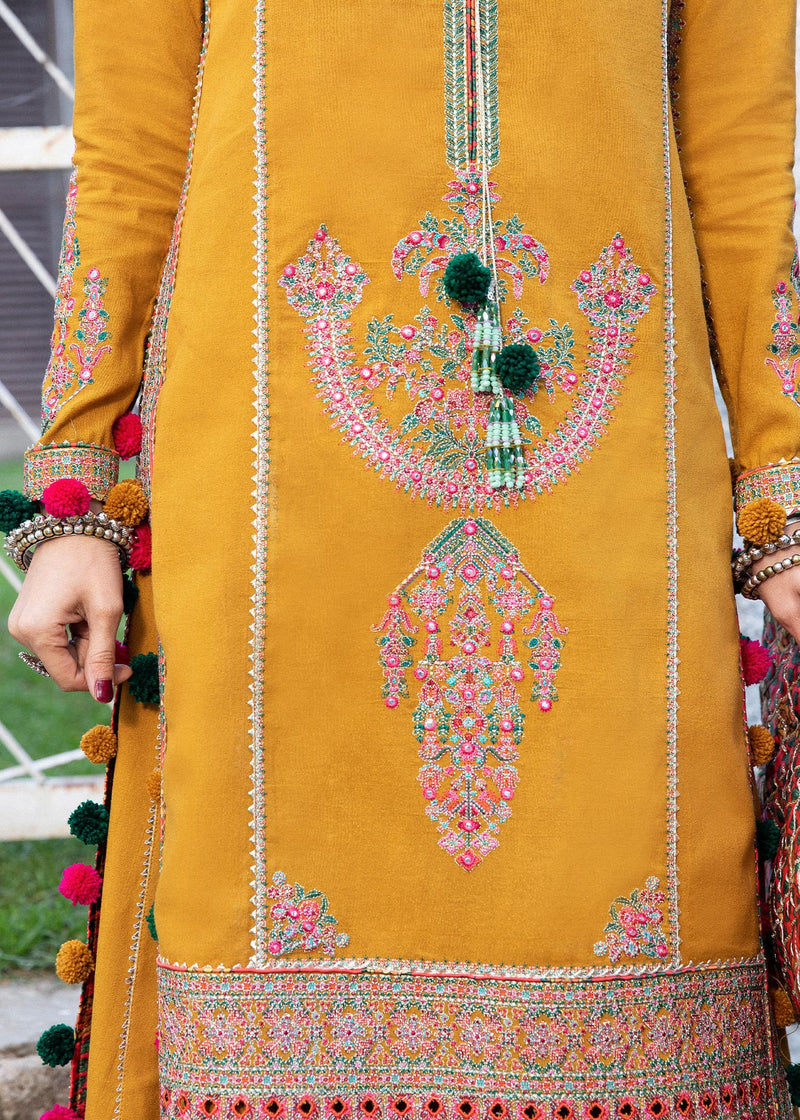 Winter Collection - Hussain Rehar - Karandi - PARAS