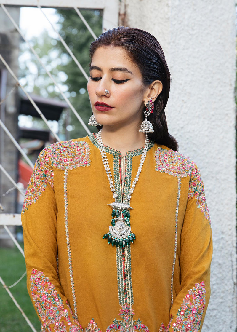 Winter Collection - Hussain Rehar - Karandi - PARAS