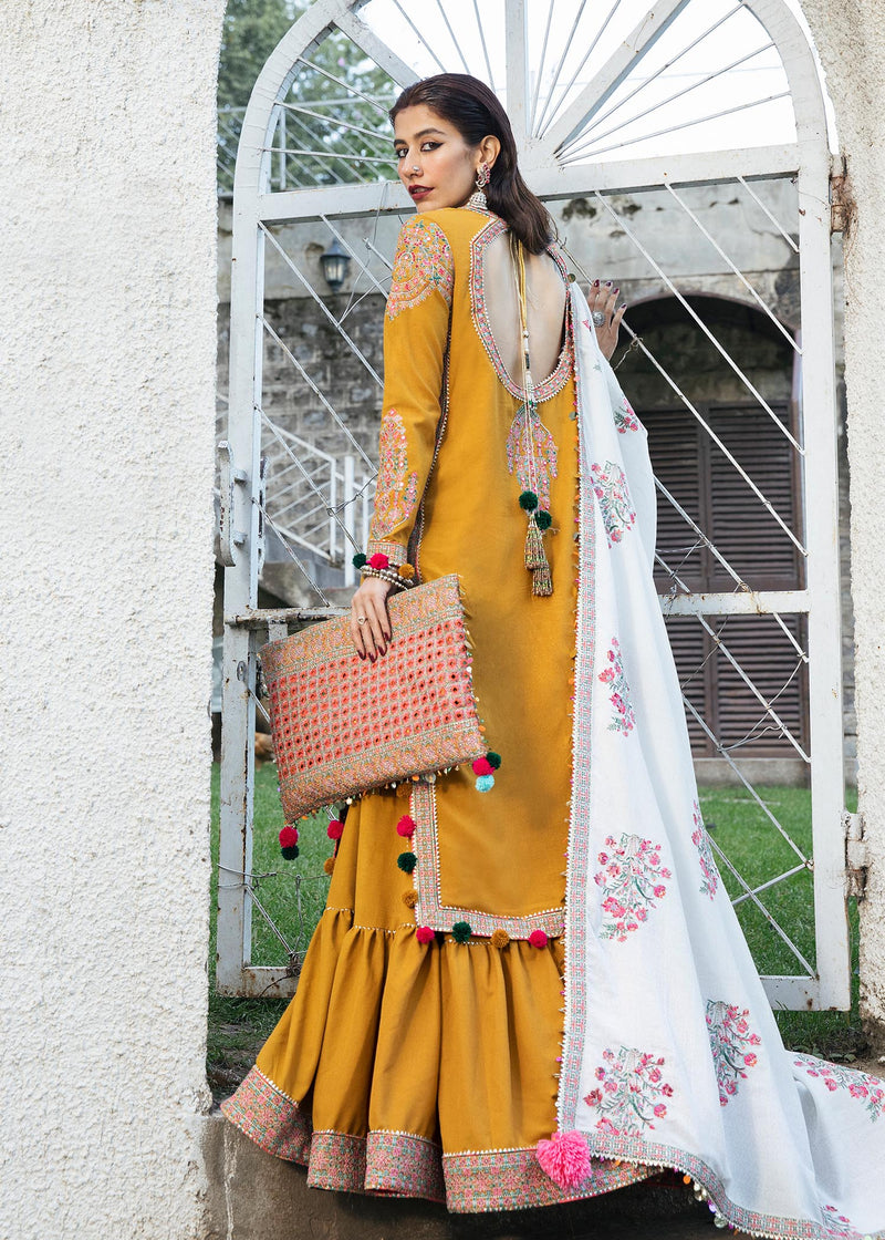 Winter Collection - Hussain Rehar - Karandi - PARAS