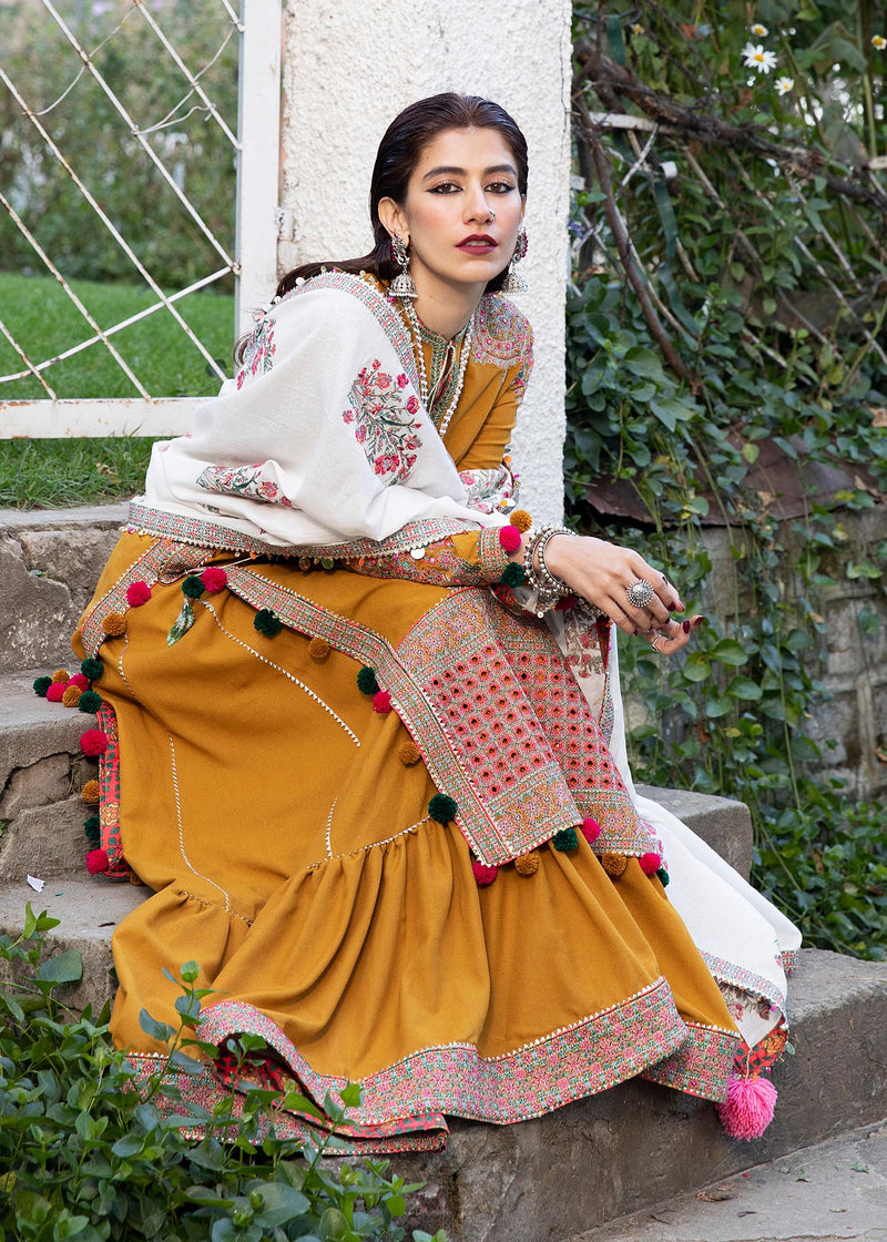 Winter Collection - Hussain Rehar - Karandi - PARAS
