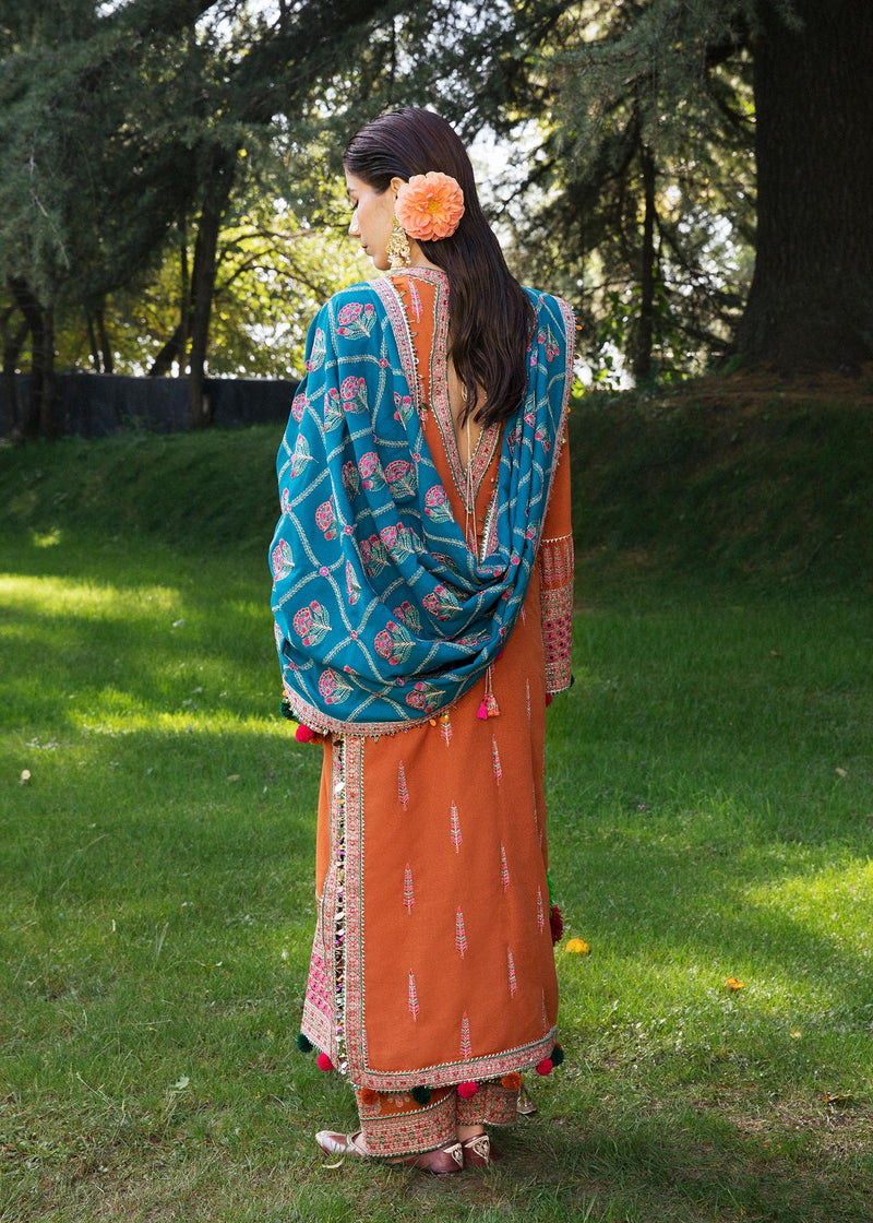 Winter Collection - Hussain Rehar - Karandi - ZIYA