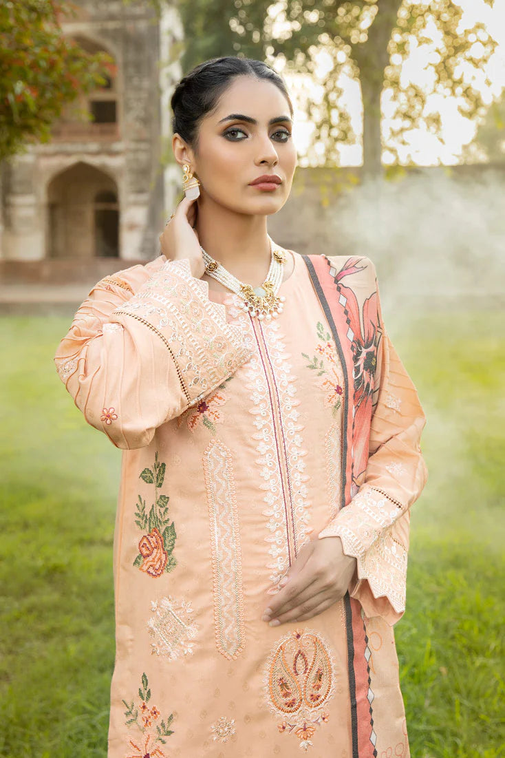 Winter Collection - Marjjan - Rangoon - RWS#53