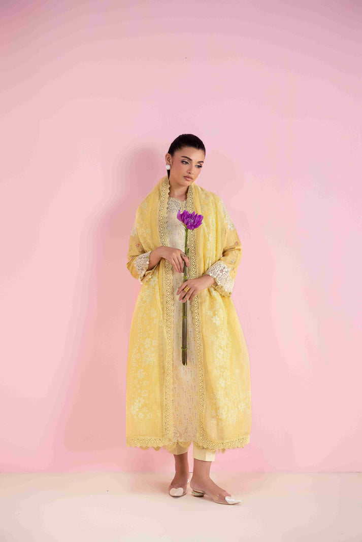 Aabyaan | Eid Pret 25 |MAHVEEN AP-04 - Official Aabyaan stockist in UK - Sakeena London