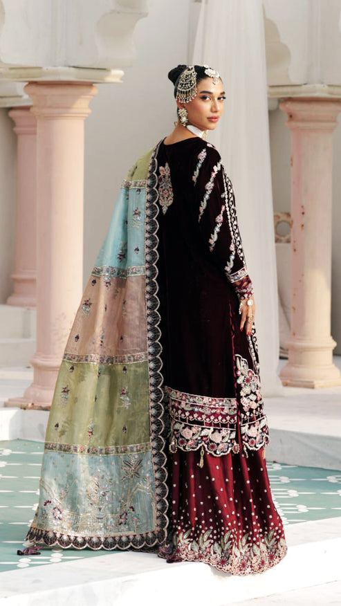 Zebtan | Andaz e Makhmal | ZAM-04 - Official Zebtan stockist in UK - Sakeena London