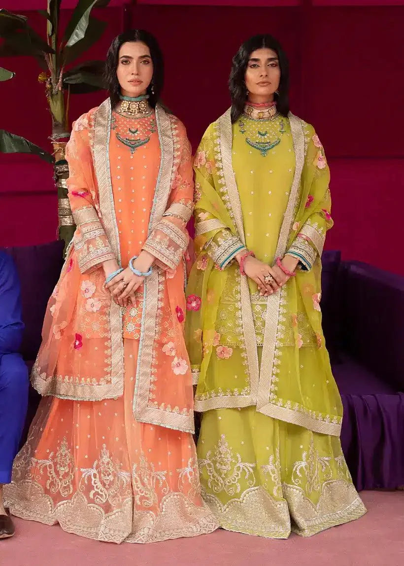 Ali Xesshan | Bhaag Lagay Rain | ANGORI BAGH ÃÂ¢- LP-010 - Official Ali Xeeshan stockist in UK - Sakeena London